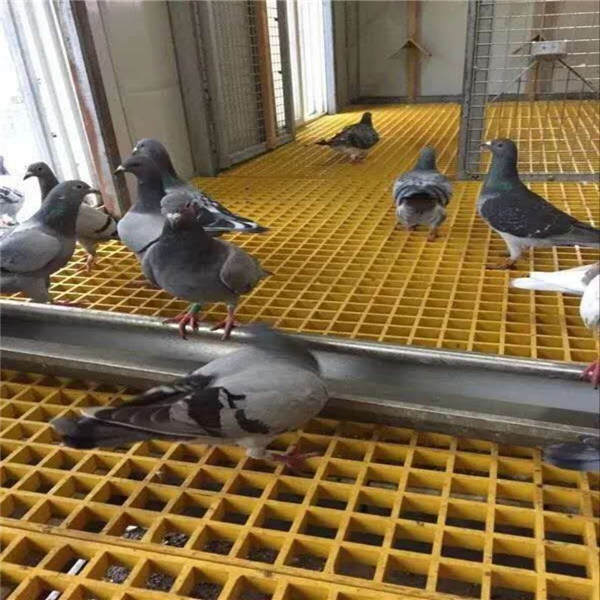 養殖場格柵